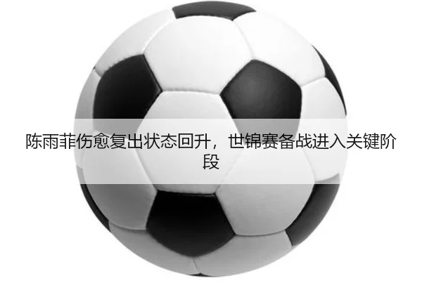 陈雨菲伤愈复出状态回升，世锦赛备战进入关键阶段