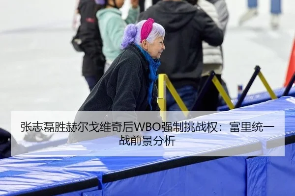 张志磊胜赫尔戈维奇后WBO强制挑战权：富里统一战前景分析